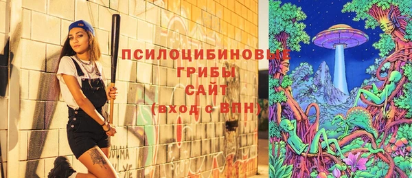 а пвп мука Сясьстрой
