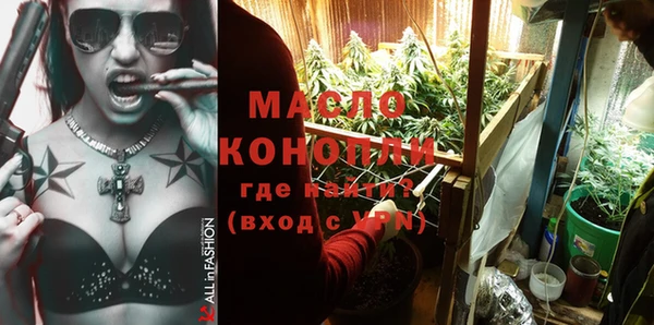 молекула духа Тайга