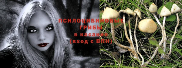 а пвп мука Сясьстрой