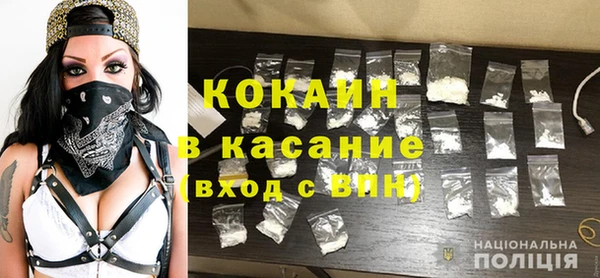 молекула духа Тайга