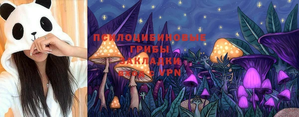 а пвп мука Сясьстрой
