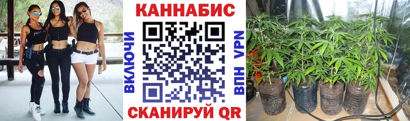 Канабис SATIVA & INDICA Южноуральск